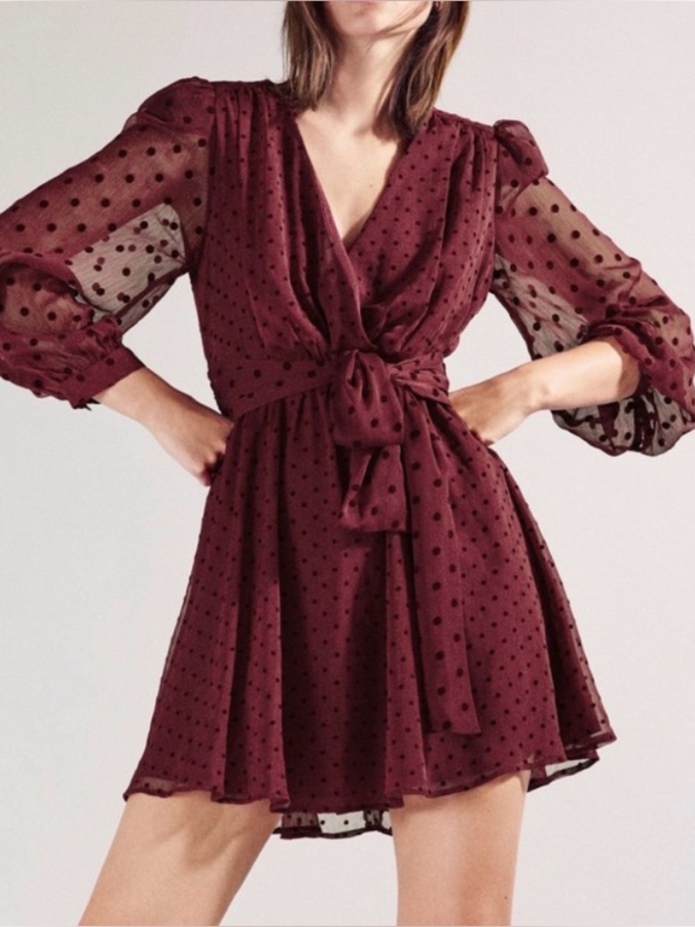 Zara Dotted Mesh Mini Dress Polka Dot Red Small